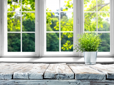 white windows overlooking greenery outside with plant